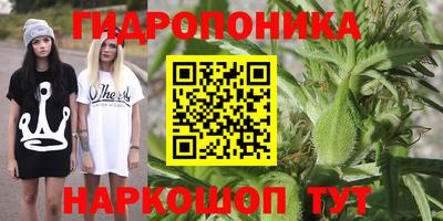 бошки Краснознаменск