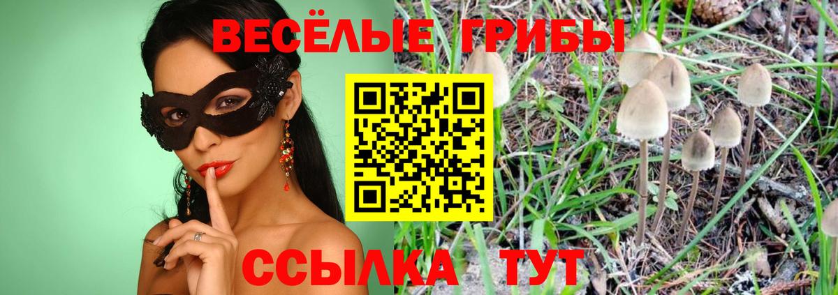 Псилоцибиновые грибы Cubensis  Вход с VPN  Кимры 
